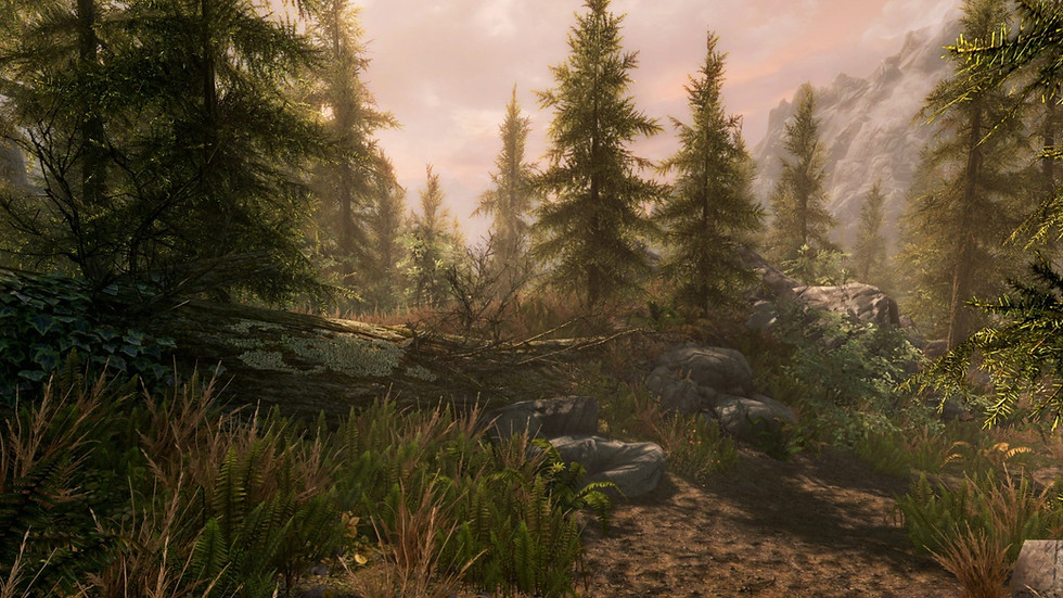 Миниатюра: The Elder Scrolls V: Skyrim Special Edition