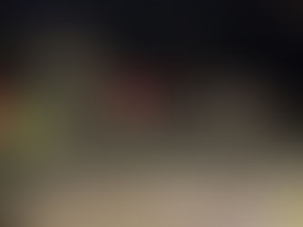 Inspektion 2023 mit anschließender Übung