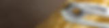 P99 Rev Banner 2.png