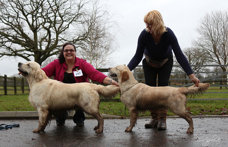 Best of Breed ashbourne dec 2012.jpg