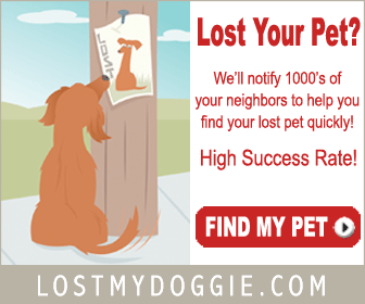 lost my doggie.gif