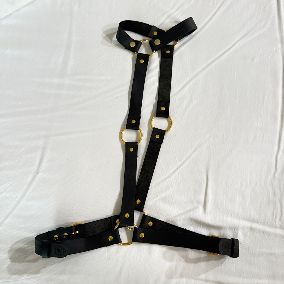 Thumbnail: Versatile Ladies Harness with Pasties