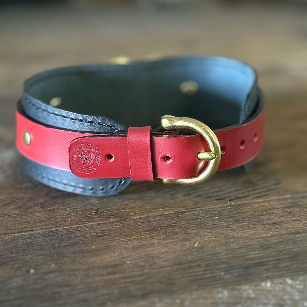 Thumbnail: Choker with Two-toned Leather & Brass Hardware