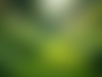 The Importance of Sustainable Living in Today's World