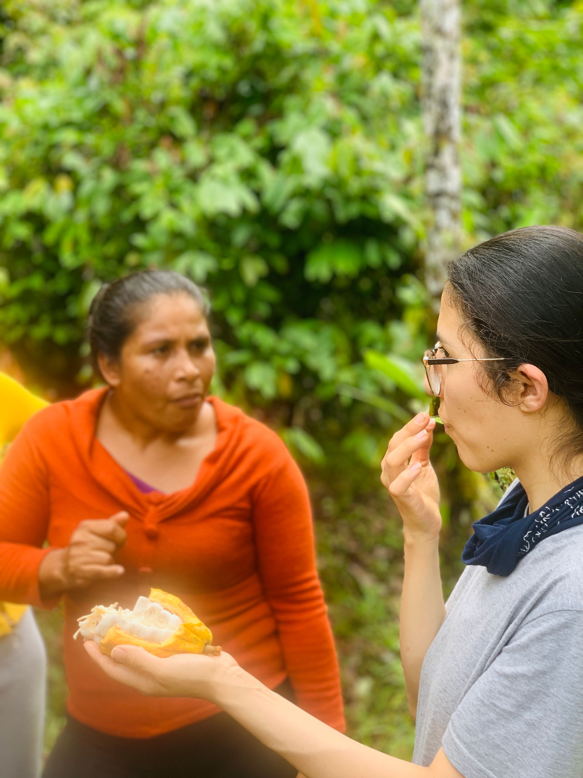 Ethical sustainable chocolate