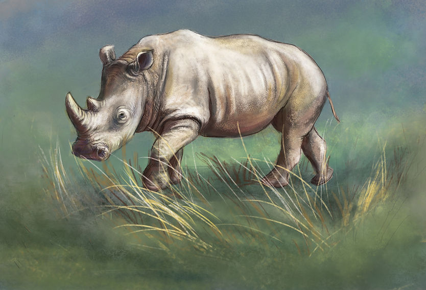 rino-nature.jpg
