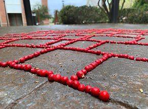 Baechel_Berries(Official Image).jpeg