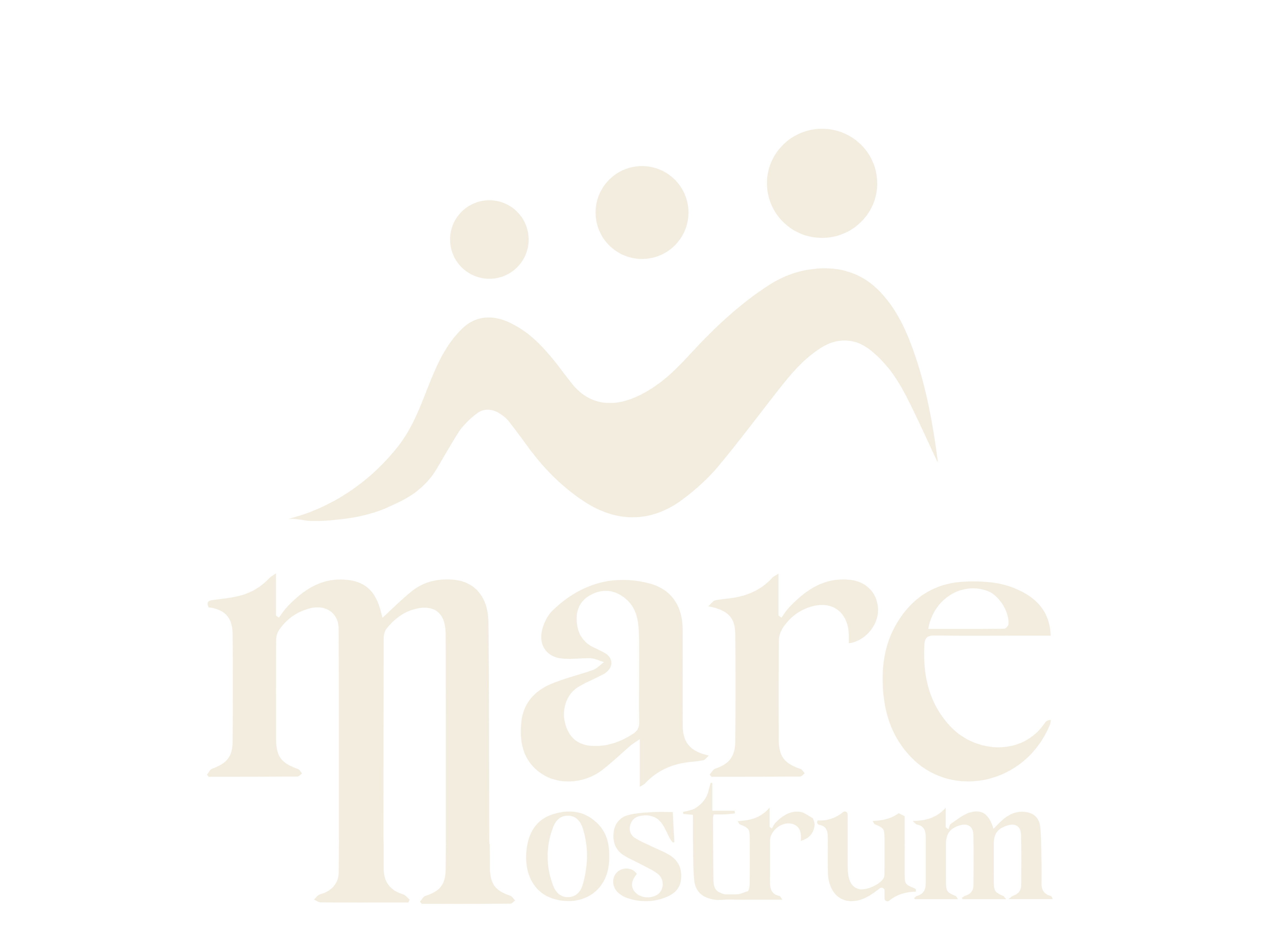 Logo foncé - Fond clair - sans ST.png