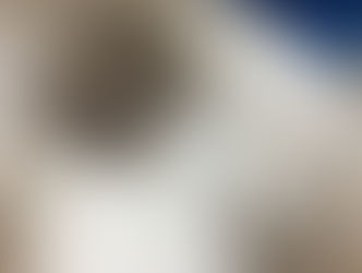 久しぶりにコロンくん!