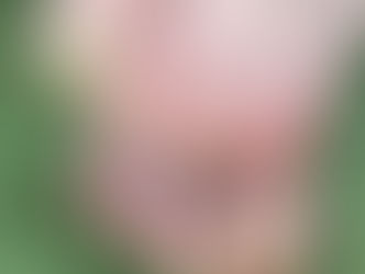 6月23日のネイル