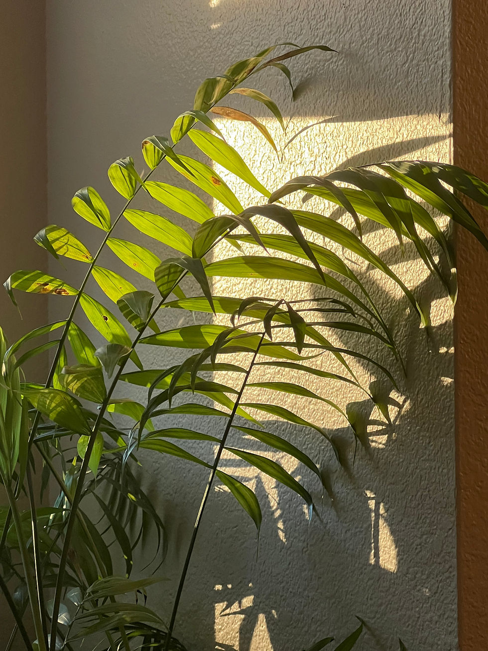 Crafting DIY Home Decor Projects: Beginner's Guide