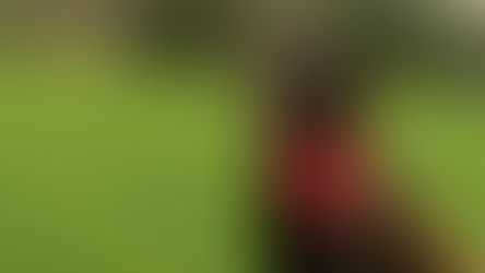 Dog Bandana Tutorial