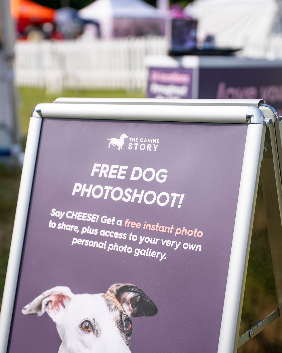 25_01 LootPaw GPS Cat Tracker Stills-6.jpg