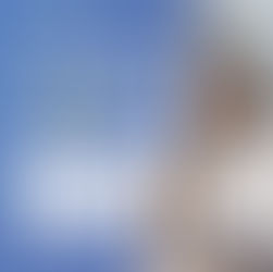 相続・念書・誓約書・契約書の作成。弁護士・行政書士が対応。テンプレート雛形(ひな形)収入印紙