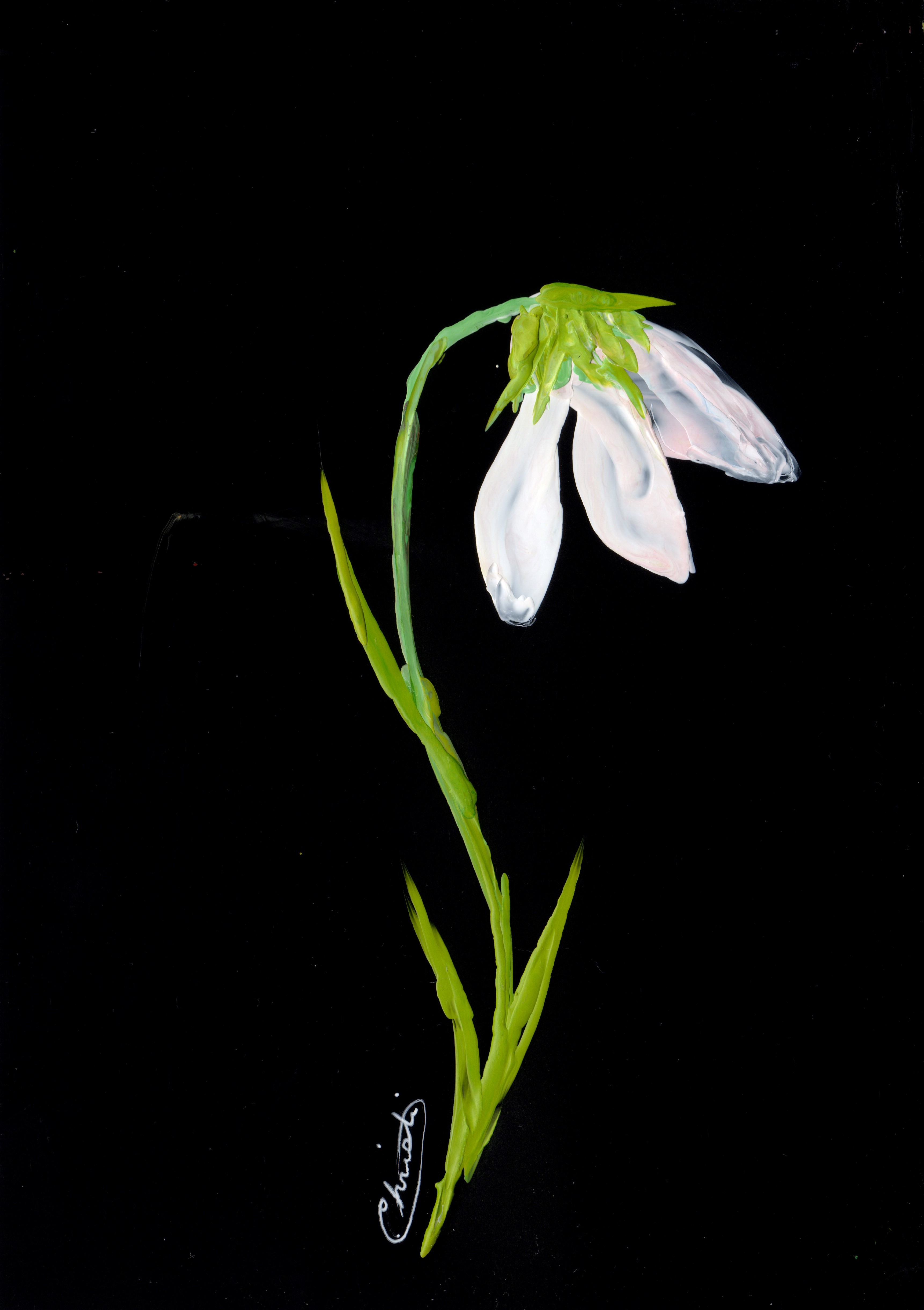 Sad Flower