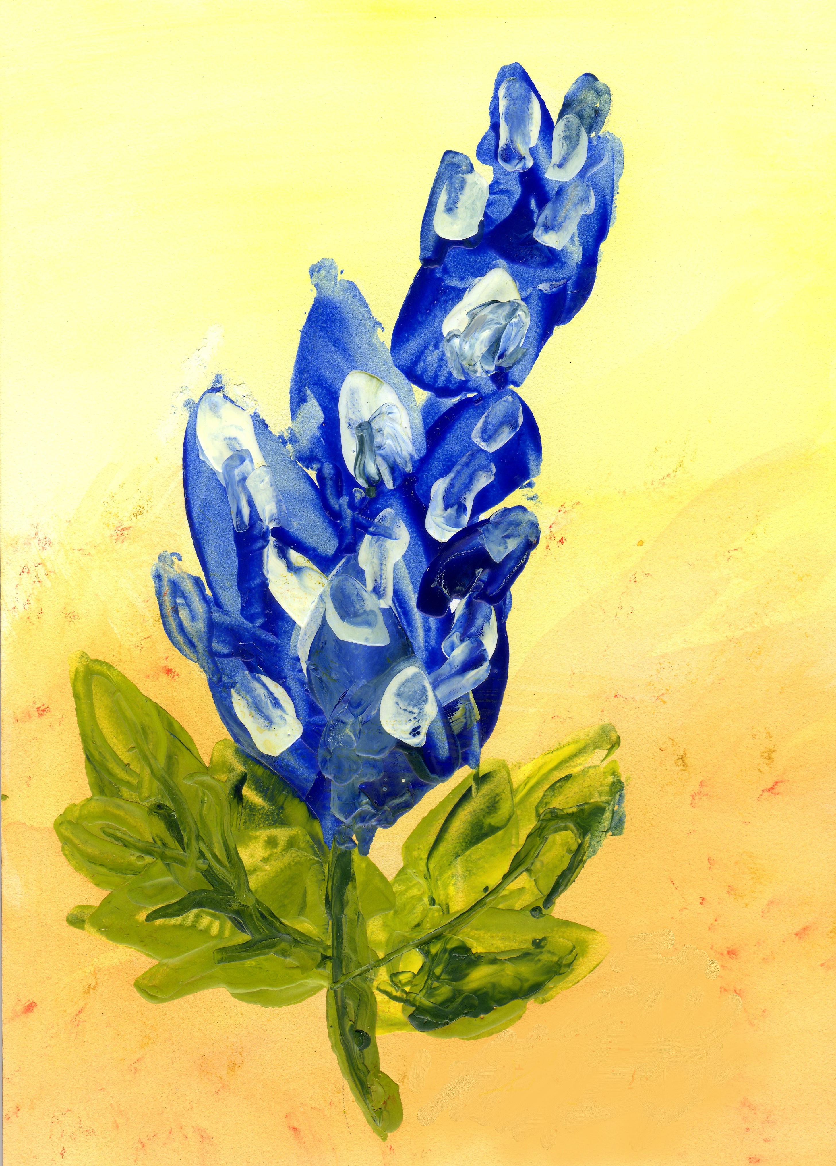 Blue Bonnet no sig