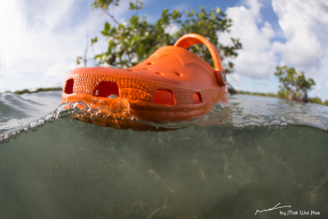 Croc
