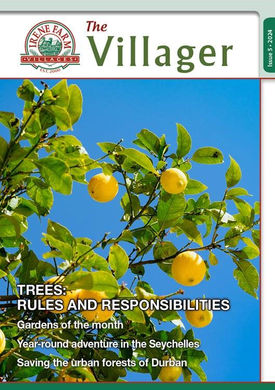 Irene Farm Village May 2024