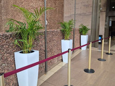 PLANT DÉCOR HIRE 