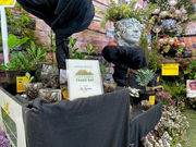 CAPE GREEN FORUM TRADE DAY