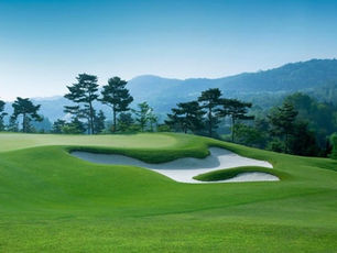 TURF MANAGEMENT AND HORTICULTURE SOLUTIONS