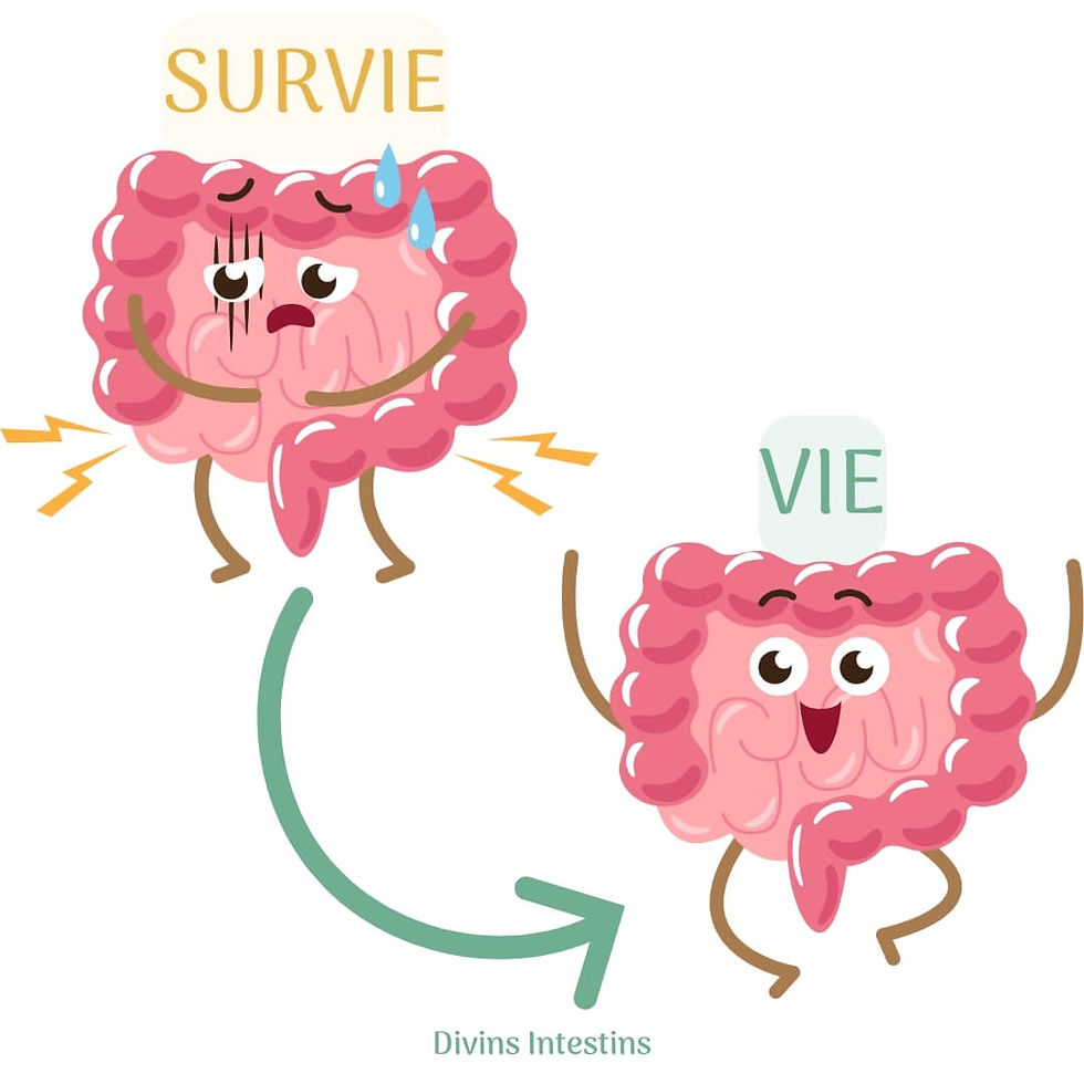 colon-irritable-systeme-nerveux-autonome-lien-intestin-cerveau-mode-survie-vie-regulation-digestion