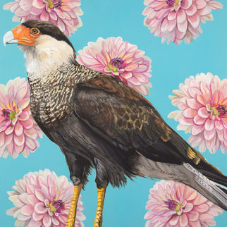 crested caracara, dahlia