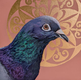 Pigeon, bird, acrylic painting, copper leaf