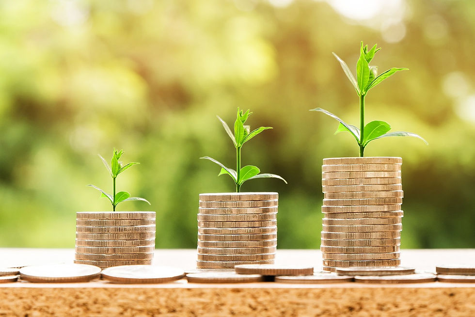 Secure investment growth to strengthen your wealth with confidence - The Ultimate Guide to Safe Investments: How to Grow Your Wealth with Confidence.