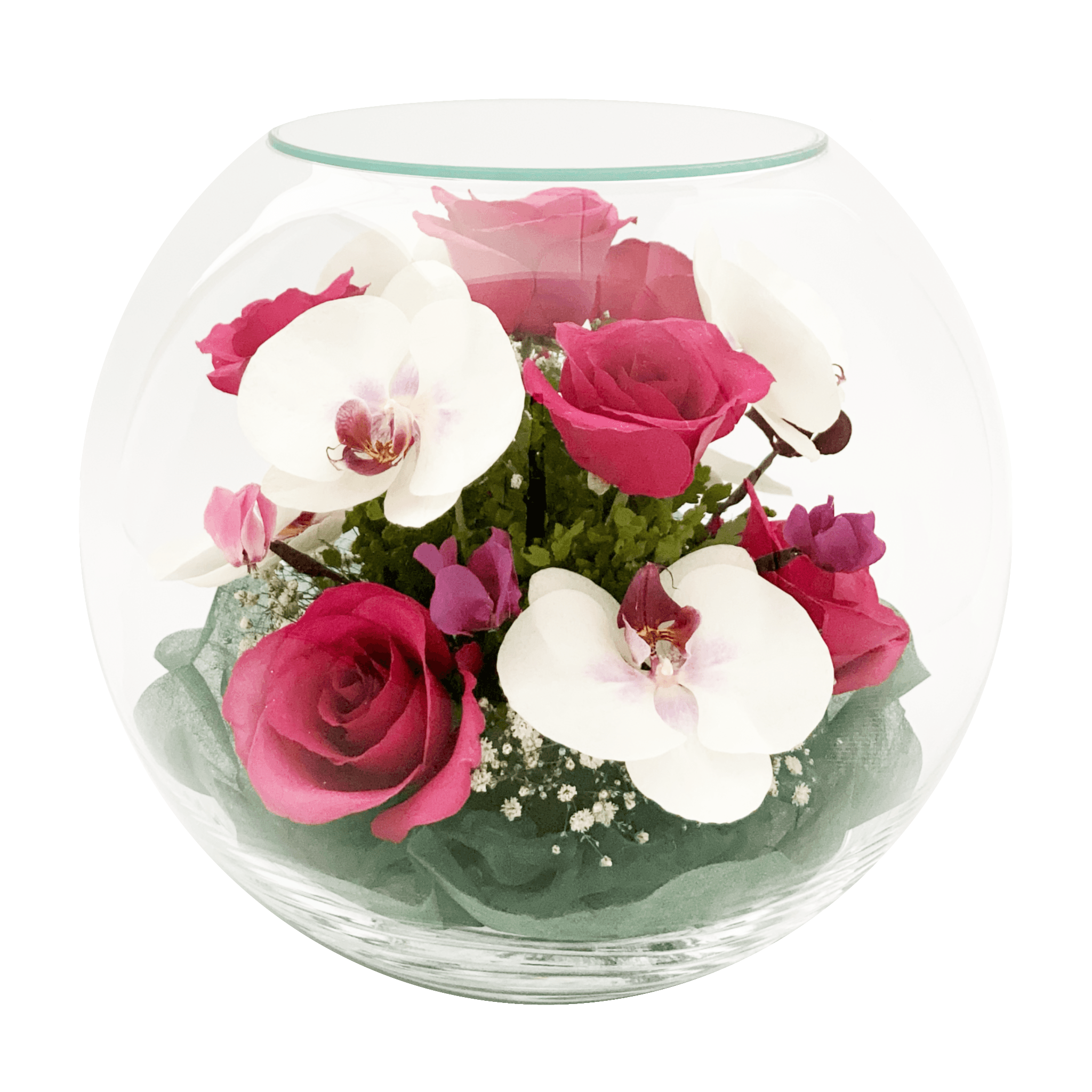 レンデフロール ドライフラワー B-H 胡蝶蘭・バラ・かすみ草・シクラメン