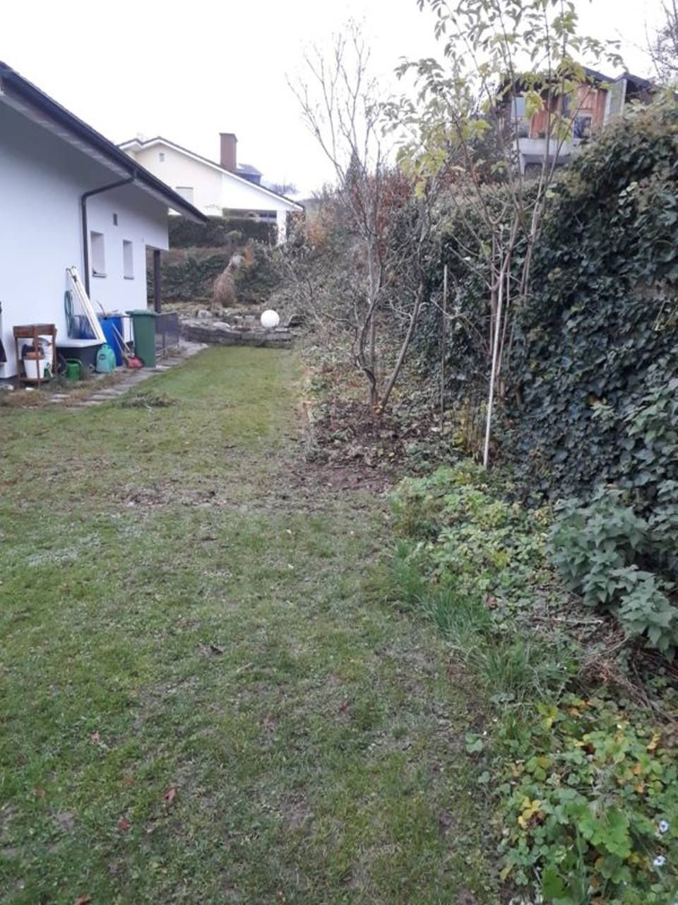 Neugestaltung eines Gartenteichs
