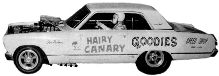 Hairy+canary+2.jpg