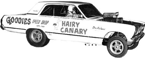 Hairy+canary+3.jpg