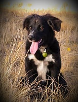 Rigsby Oct 2020_edited.jpg