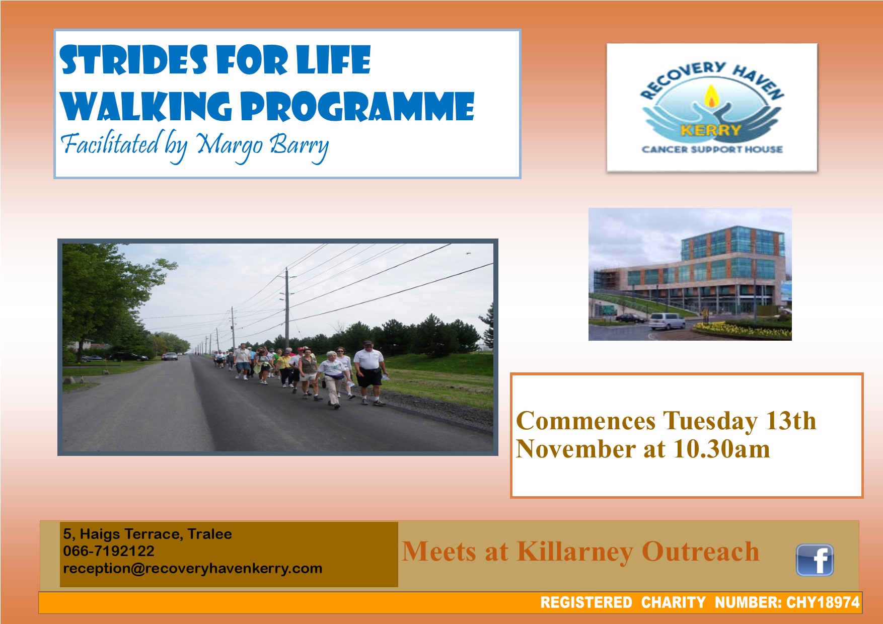 Strides for life walking Poster