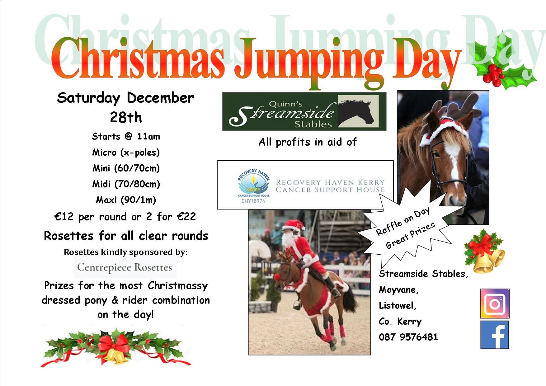 Christmas jumping day Saturday 28th Dece