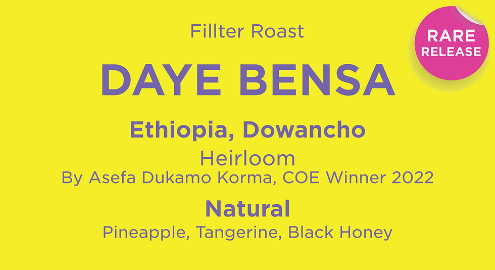 Thumbnail: Duwancho Natural – Daye Bensa Ethiopia | Sidama, Bensa:200g
