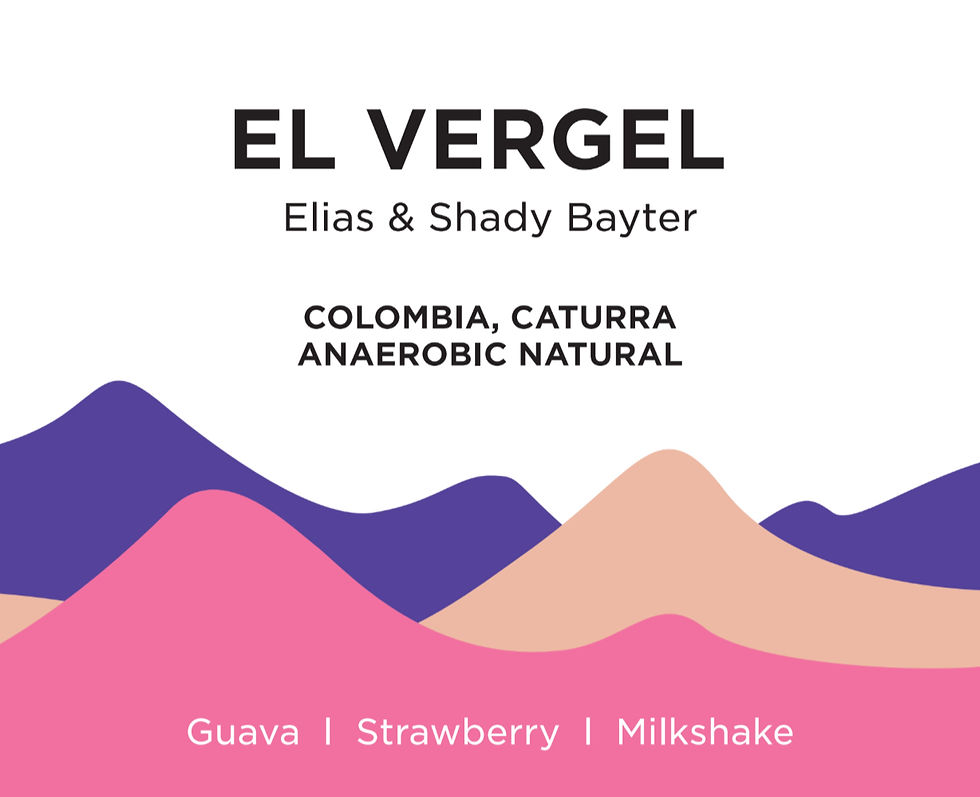 El VERGEL - Colombia Caturra Anaerobic Natural