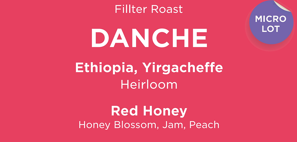 6x Ethiopia Danche Red Honey G1 | Yirgacheffee