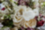 2NMP0006.jpg