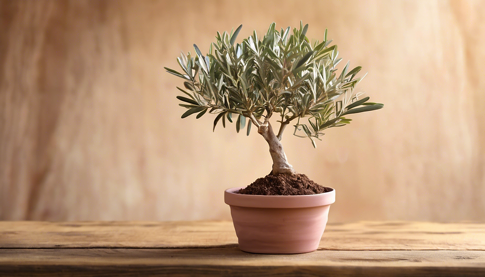 Atelier Écologique et Social Palestinien