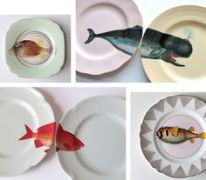 c2bc9b10f2b261a5e93942b36c71170e