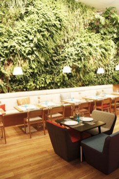 Sobremesa in Spain copia