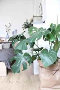 b5c29a838fca6d427e23cffe2ea52bfc