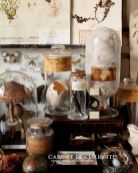 3ad0554d0381ed987c3904797dbb2c25