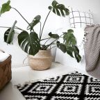 4ced07a7b8ee1b8cbc69d3873e2e601e