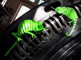 10492091_933907273362091_3933589585281607877_n