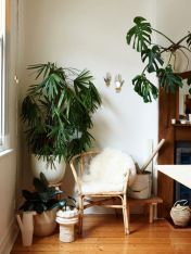 622137707511a529fa4cca986e5e40b9