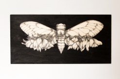 ENTOMOLOGY-VI-30x60x2-cm-tinta-sobre-madera
