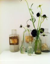 d6db64abb0371a1e9c2b9098a231bb97